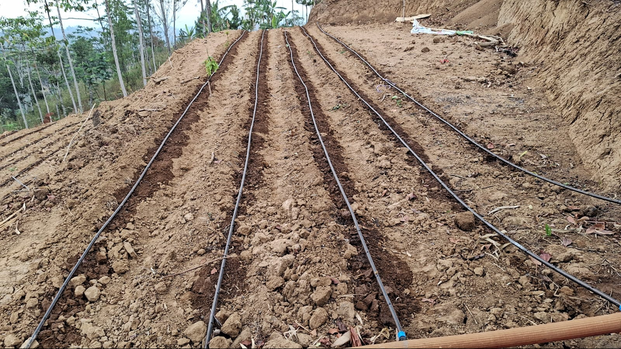 Pengairan dilakukan tanpa menggunakan pompa dan hanya mengandalkan gravitasi/ketinggian